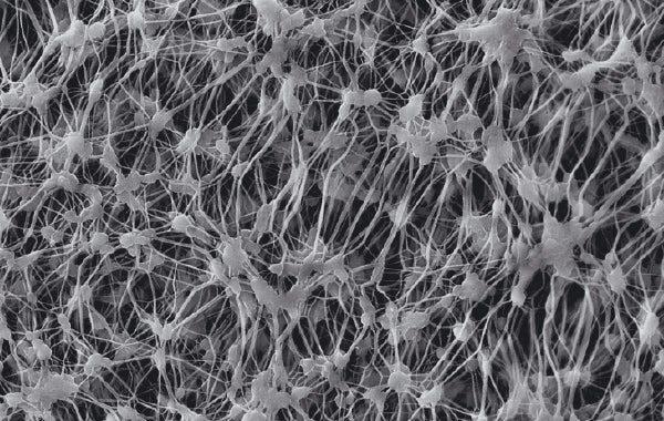 Membrane Technology Leadership