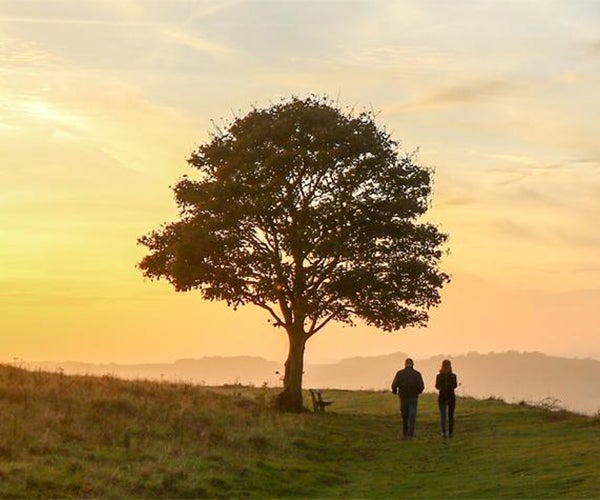画像：夕暮れ時の木とその傍らを歩く2人