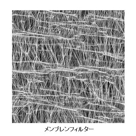 標準的なメンブレン
