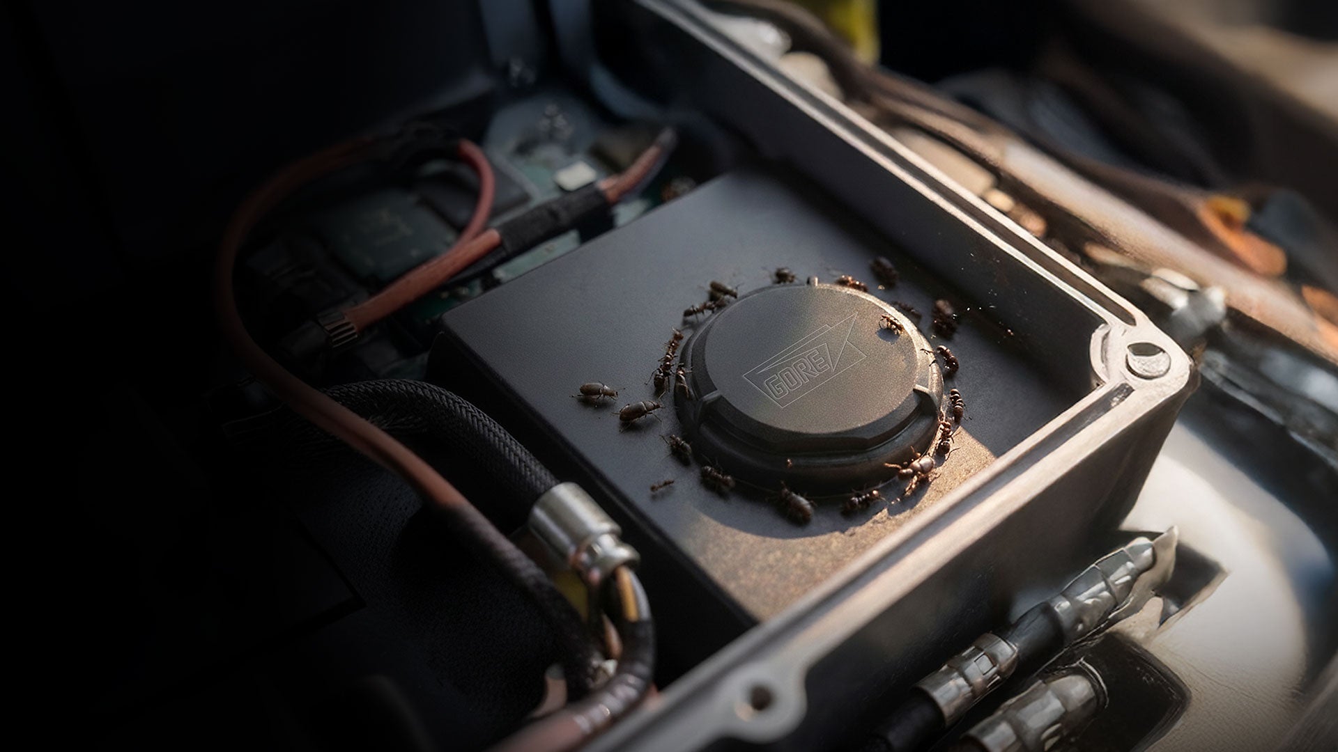 GORE® Automotive Vents Insect Guard Series preventing ants from entering an electronic component