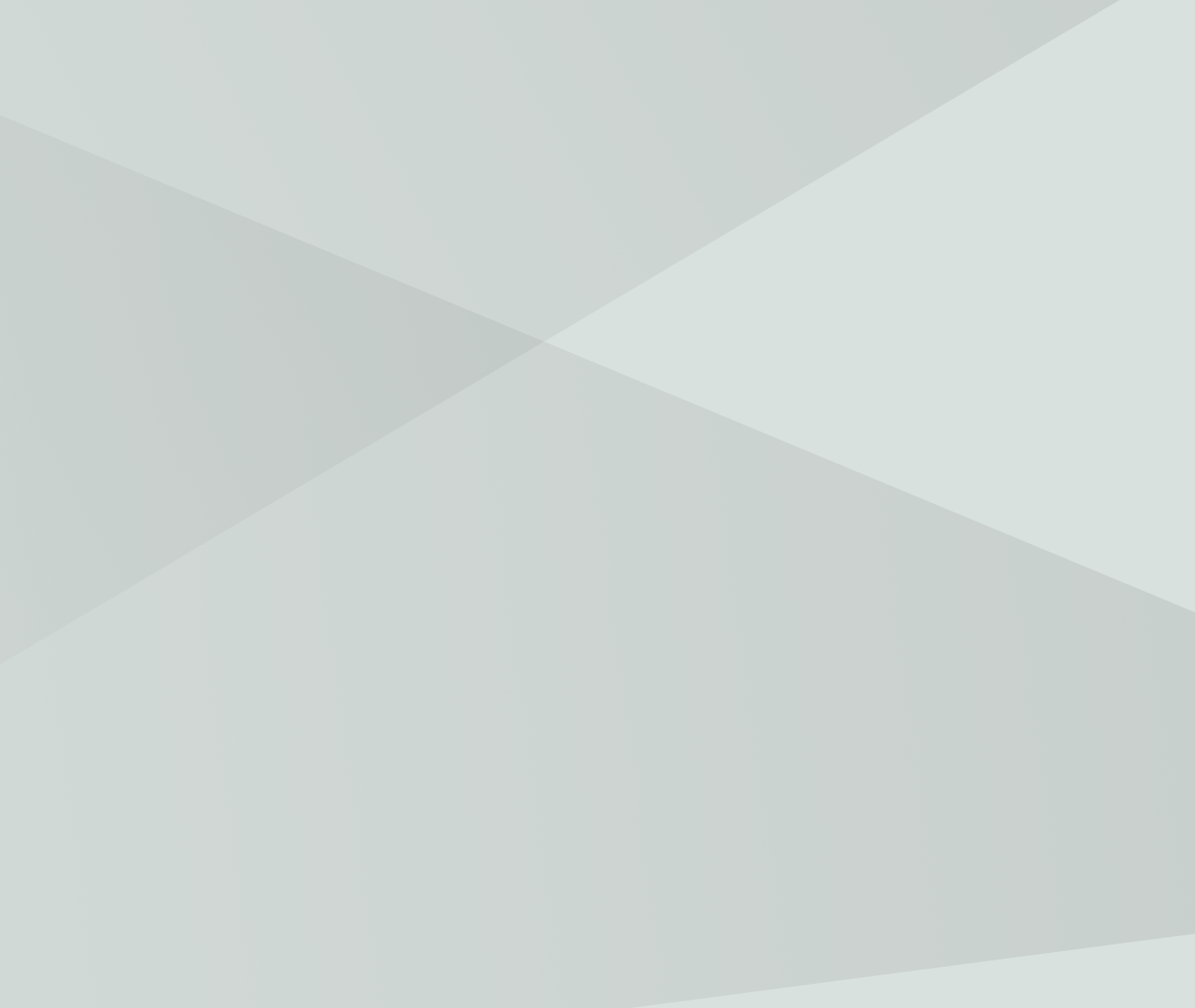 Light gray-300
