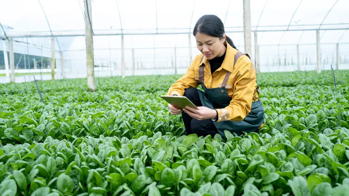 野菜の生育状況をタブレットで確認する農家の女性