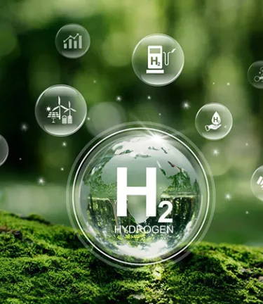 Water molecules on on a mossy forest.