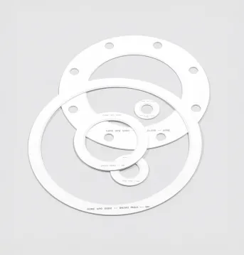 Pipe Gaskets for Diverse Flange Materials